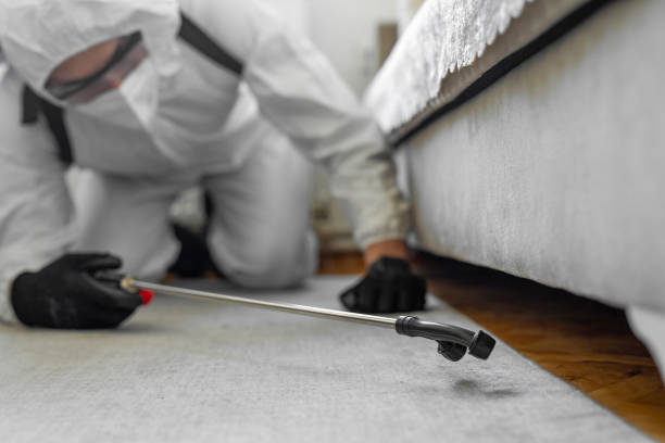 Professional Bed Bug Control technician working in Menomonie, WI