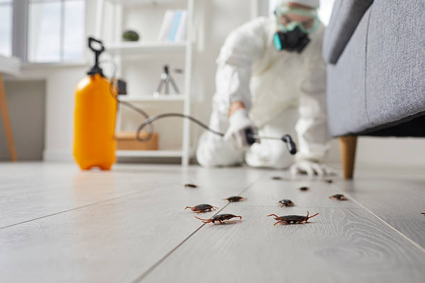 Trusted Rodent Control service in Menomonie, WI - Nex Pest Control